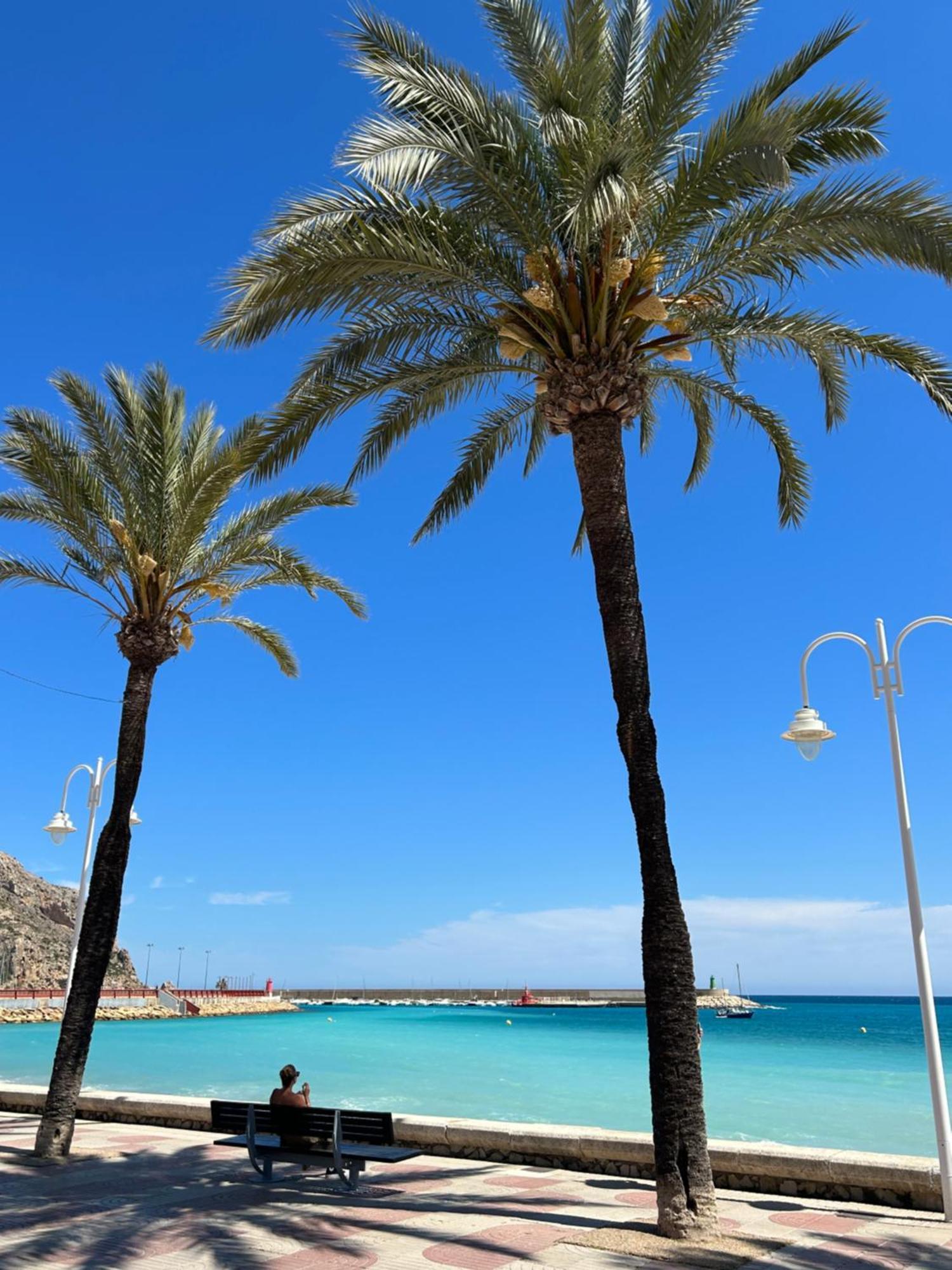 Casita Bonita - With Private Garden Near Beach In Jávea Екстериор снимка